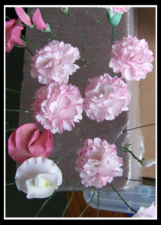 Delicate white carnations with pink edge